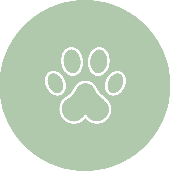 Ein Icon in Form von einem schlichten weißen Pfoten Symbol auf einem hellgrünen Kreis – ein Zeichen für tierfreundliche Angebote.