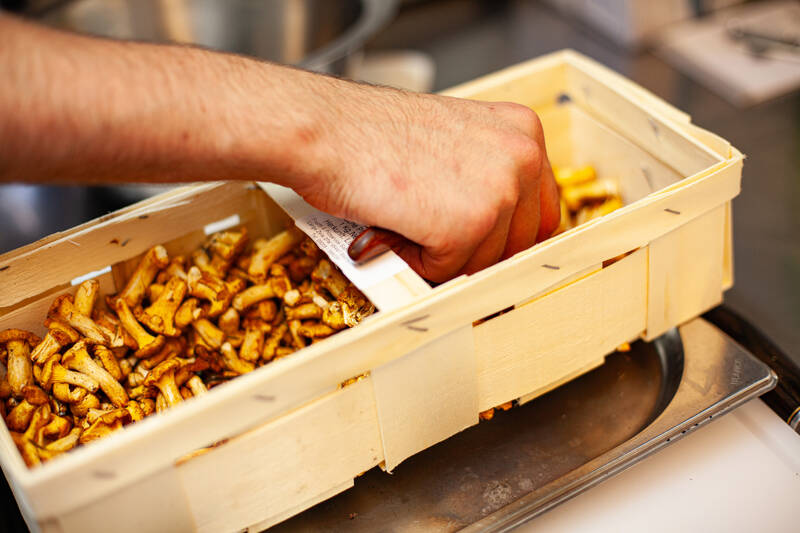 Eine Hand greift in eine rechteckige Holzkiste mit frischen, gelblichen Pfifferlingen.