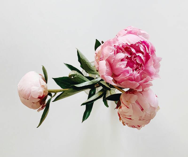 Fallon michael DTpKjgHpHj4 unsplash