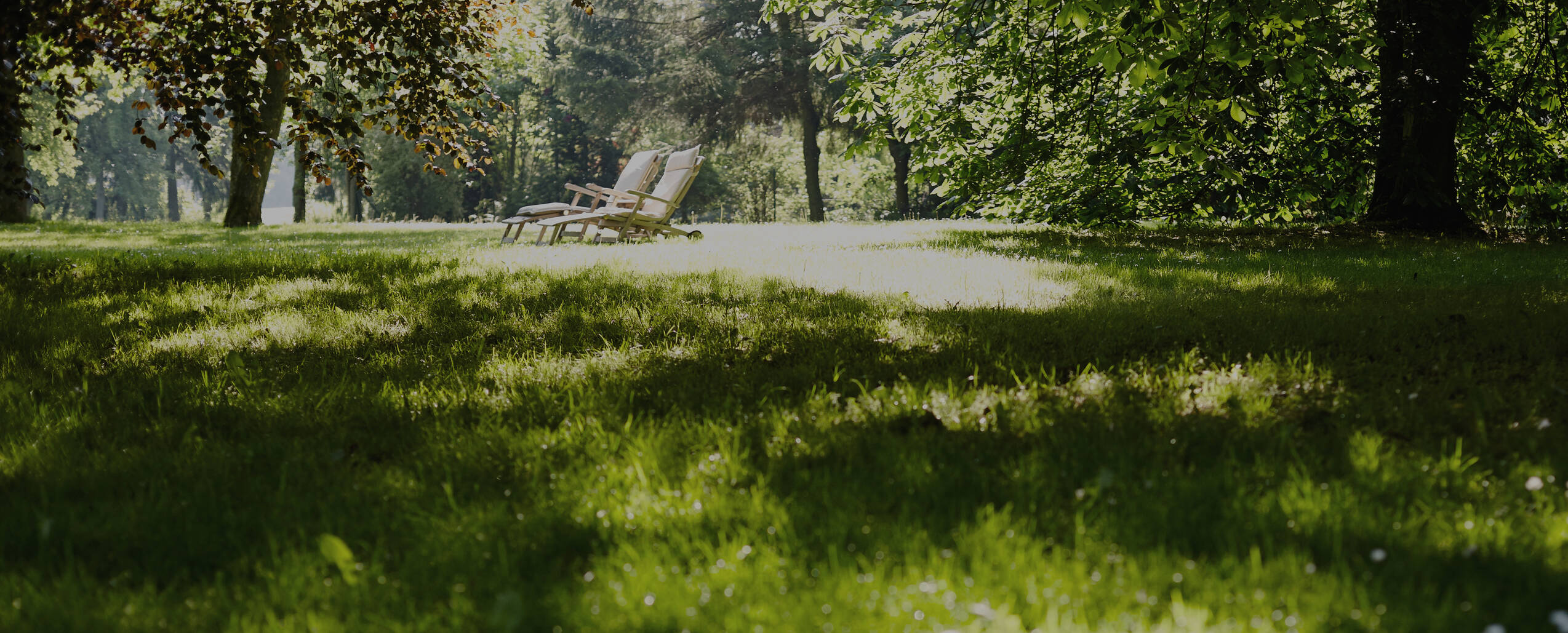 Ein sonniger Park am Gutshaus Stolpe mit einer grünen Wiese, Bäumen und zwei Liegestühlen im Hintergrund.