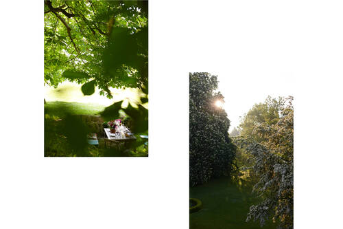 Eine Picknickdecke mit Blumen und Getränken steht im Schatten grüner Bäume in einem weitläufigen Garten.
