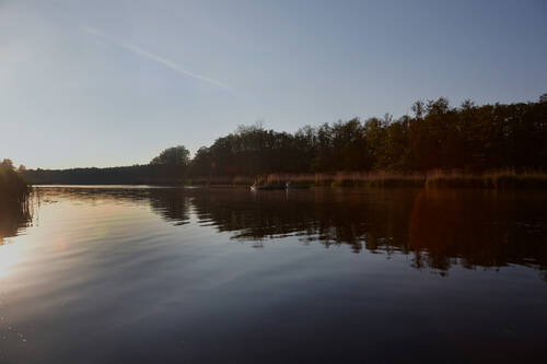 Ein weitläufiger Fluss mit ruhiger Wasseroberfläche bei Sonnenuntergang, gesäumt von Bäumen am Ufer.