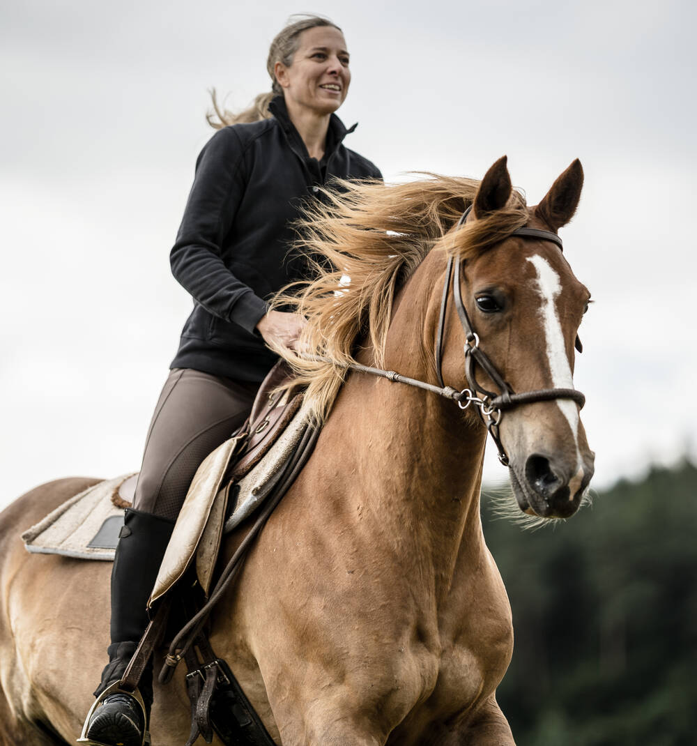Eine reitende Person in einer schwarzen Jacke auf einem braunen Pferd mit einer weißen Stirnzeichnung, die Pferdemähne weht im Wind.