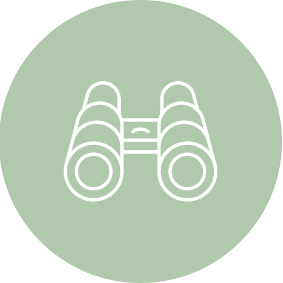 Ein grünes Icon mit einem weißen Fernglas – ein Symbol für Ausflüge, Naturbeobachtungen und das Entdecken der Umgebung.
